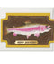 Mounted Fish Birthday Card