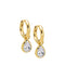 The Zoey Earrings