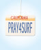 PRAY4SURF Air Freshener - ascot + hart