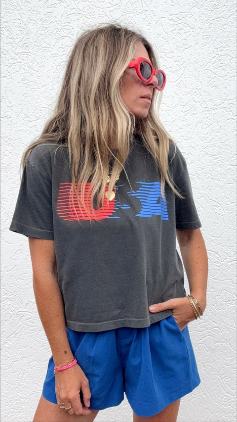 A+H Retro USA Crop Top - ascot + hart