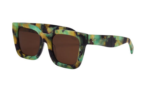 Alden Sunnies - ascot + hart