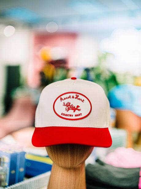 Ascot + Hart Two Tone Country Mart Hat - ascot + hart