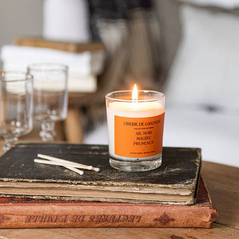 Black Garlic, Malbec, Prune Blend Candle - ascot + hart