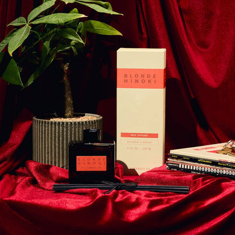 Blonde Hinoki Reed Diffuser - ascot + hart