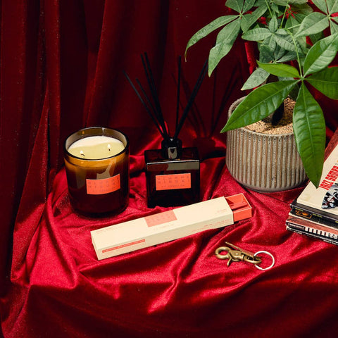 Blonde Hinoki Reed Diffuser - ascot + hart