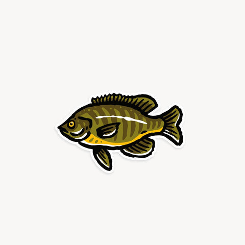 Freshwater Fish Vinyl Sticker Three-Pack - ascot + hart