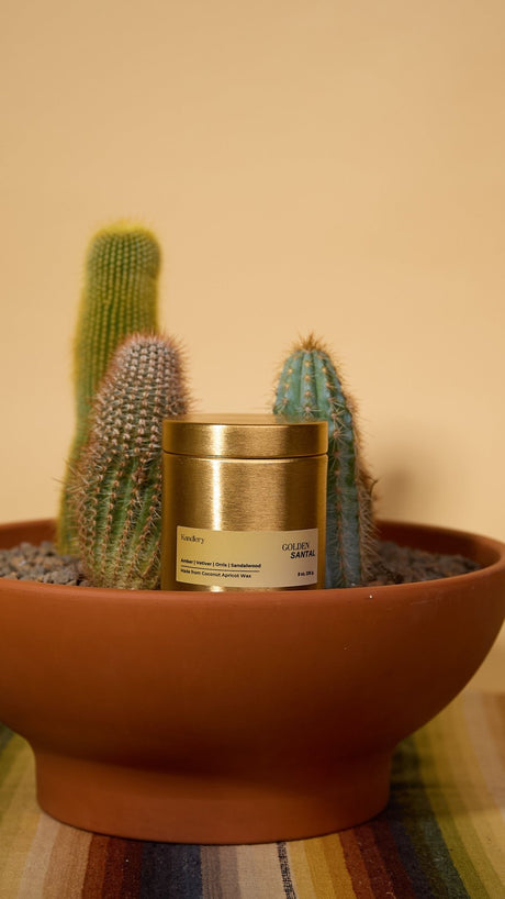Kandlery Golden Santal Candle - 9 oz - ascot + hart