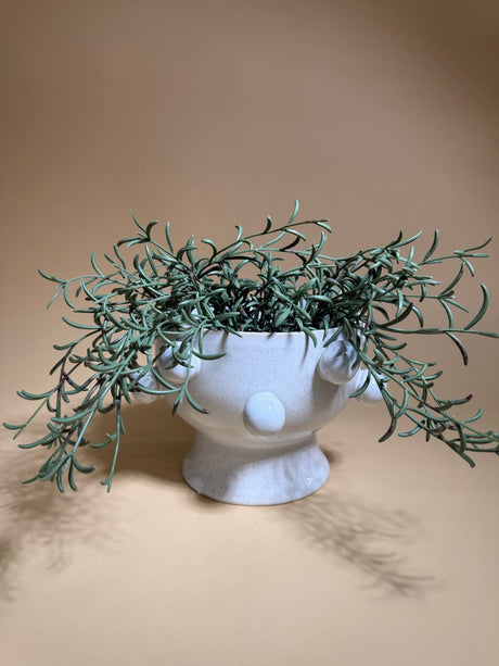 Large Stoneware Reactive Glaze Planter w/ Orbs - ascot + hart