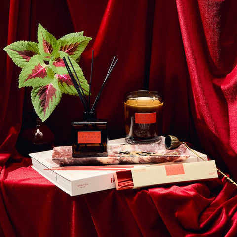 Plush Vetiver Reed Diffuser - ascot + hart