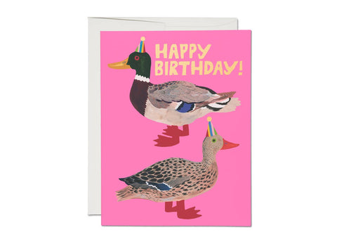 Quacky Birthday Card - ascot + hart