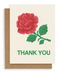 Rose Thank You Card - ascot + hart