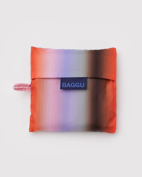 Standard Baggu - Gradient Stripe Poppy & Lilac - ascot + hart