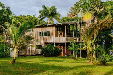 Surf Shacks Vol. 3 - ascot + hart