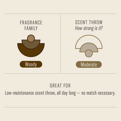 Teakwood & Tobacco - 3.5 oz Reed Diffuser - ascot + hart