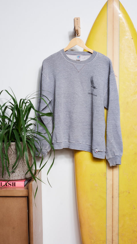Vintage Grand Teton Eagle Pullover - ascot + hart