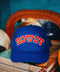 Wild West Howdy Trucker - ascot + hart