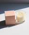 dilo - CACTUS FLOWER CANDLE - ascot + hart